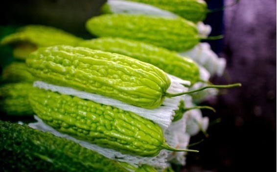 苦瓜|60岁大爷癌症晚期,一年后“癌”没了,家人透露饮食细节