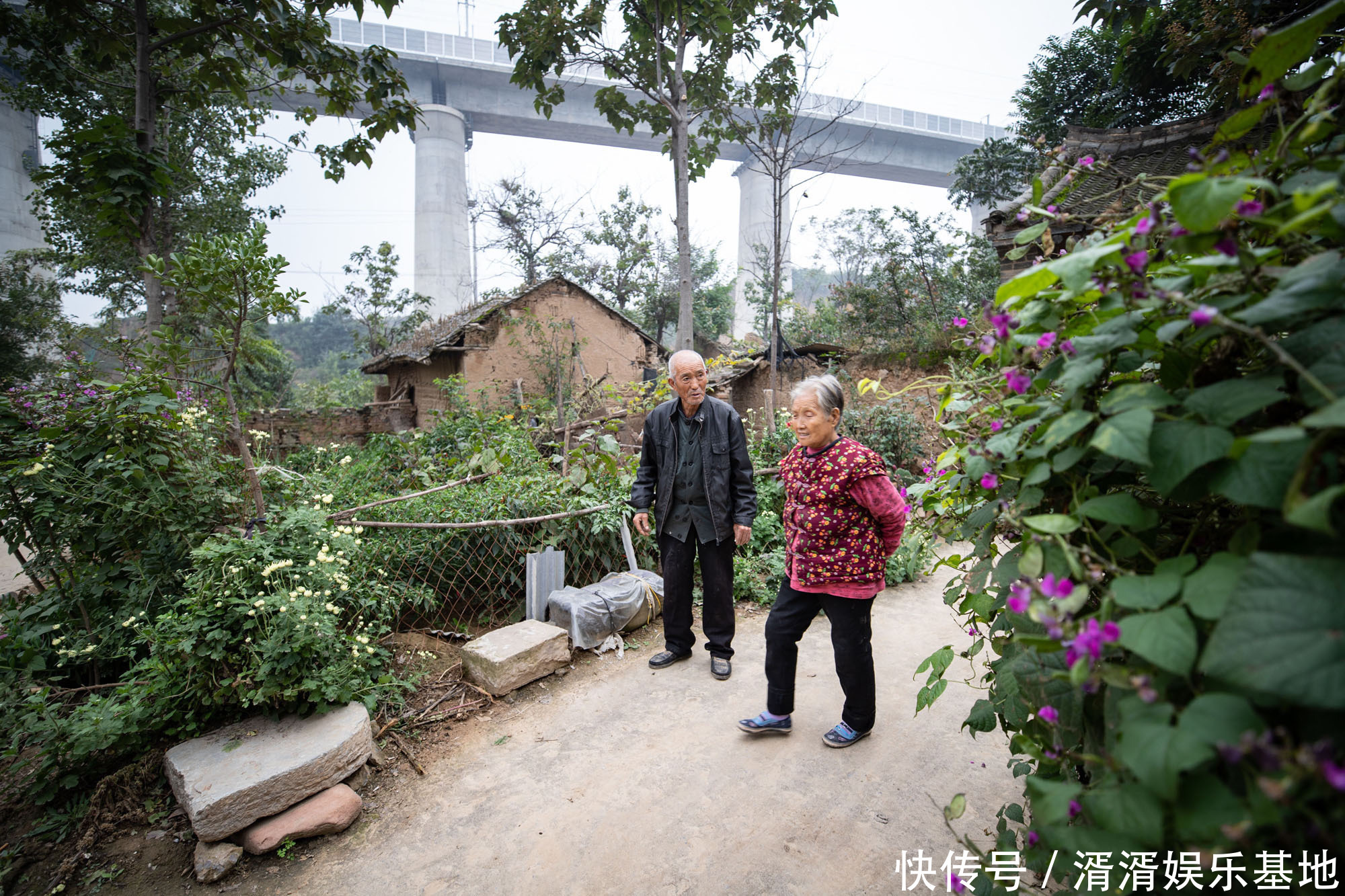 奇特植物落户7旬夫妇门口，颜色鲜艳像草又像花，谁知道它叫什么