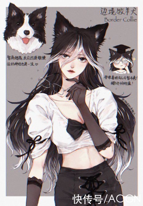 拟人|狗狗化身动漫美少女，萨摩变成白毛御姐，短腿柯基好俏皮
