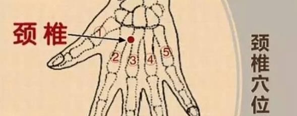 胸椎|身体有一“治病区”，时常揉一下，疏通经络护腰椎，颈椎病不打扰
