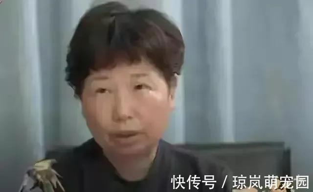 录音|无论是谁放出姚策与许母的电话录音，都无任何实际意义