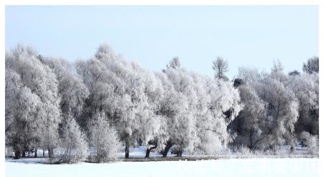 星座|这些星座的人生简单点,快乐点,就可以了