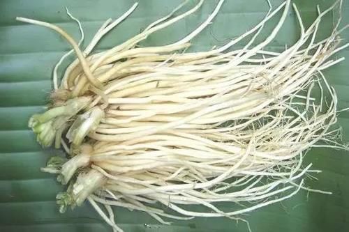 3种“宝贝”菜，经常被你当垃圾丢掉，却不知是天然的“感冒药”