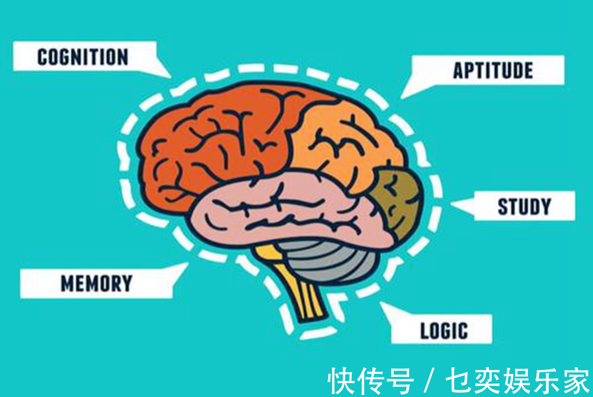 儿科医生|宝宝睡得越多发育越快医生当心物极必反,睡太久可并非好事