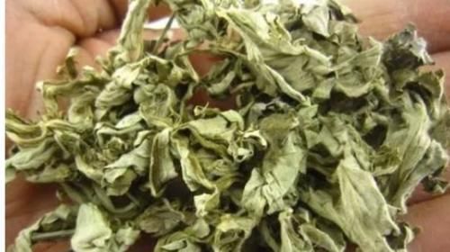 风寒湿|一把艾叶二两酒,腰腿疼痛绕道走,颈椎病、关节炎、腰腿疼也管用