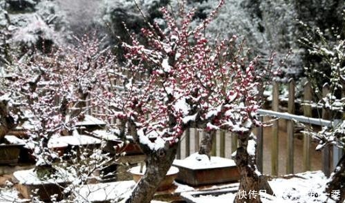 歙县|藏在深山里的安徽古村落，是歙县第一村，景色美到连央视也不放过