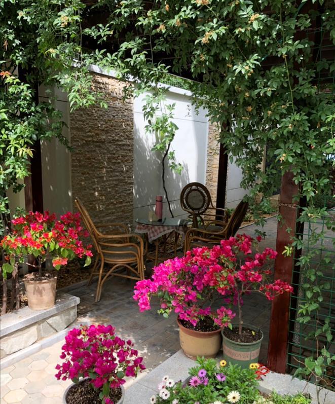 小花园|为了养花种菜,奶奶花160万买了郊区的别墅,3年之后,后悔了