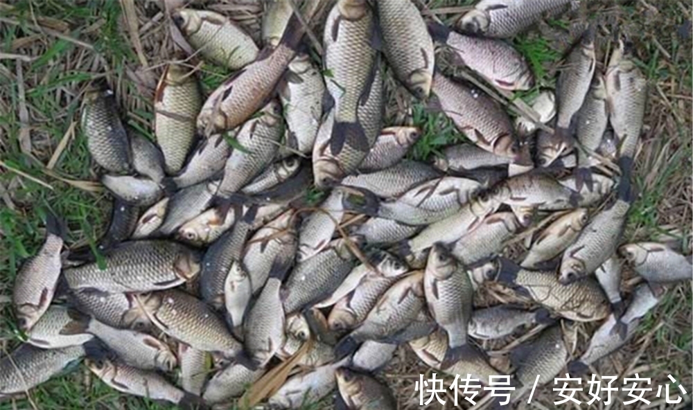 冬季钓鱼,核心技巧只有两招,牢记这2招,天气多冷也能钓爆护