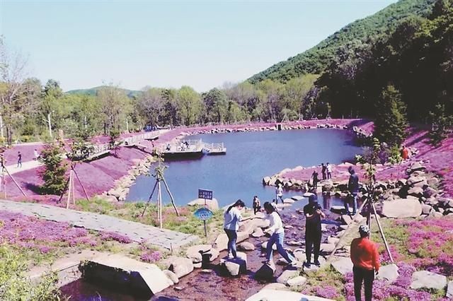 龙江赏花地图，带你走进春日“万花筒”