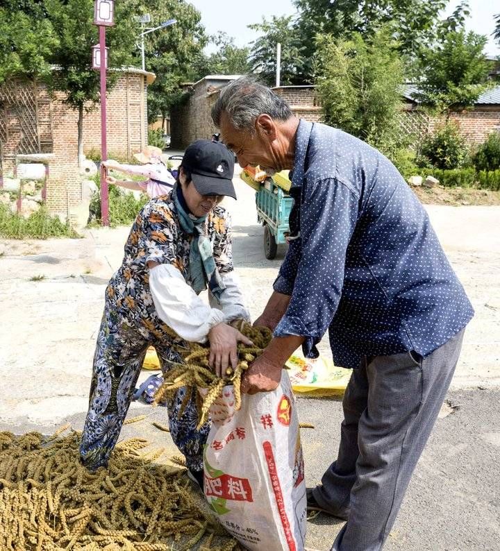 秋天|走进田野，闻到秋的味道