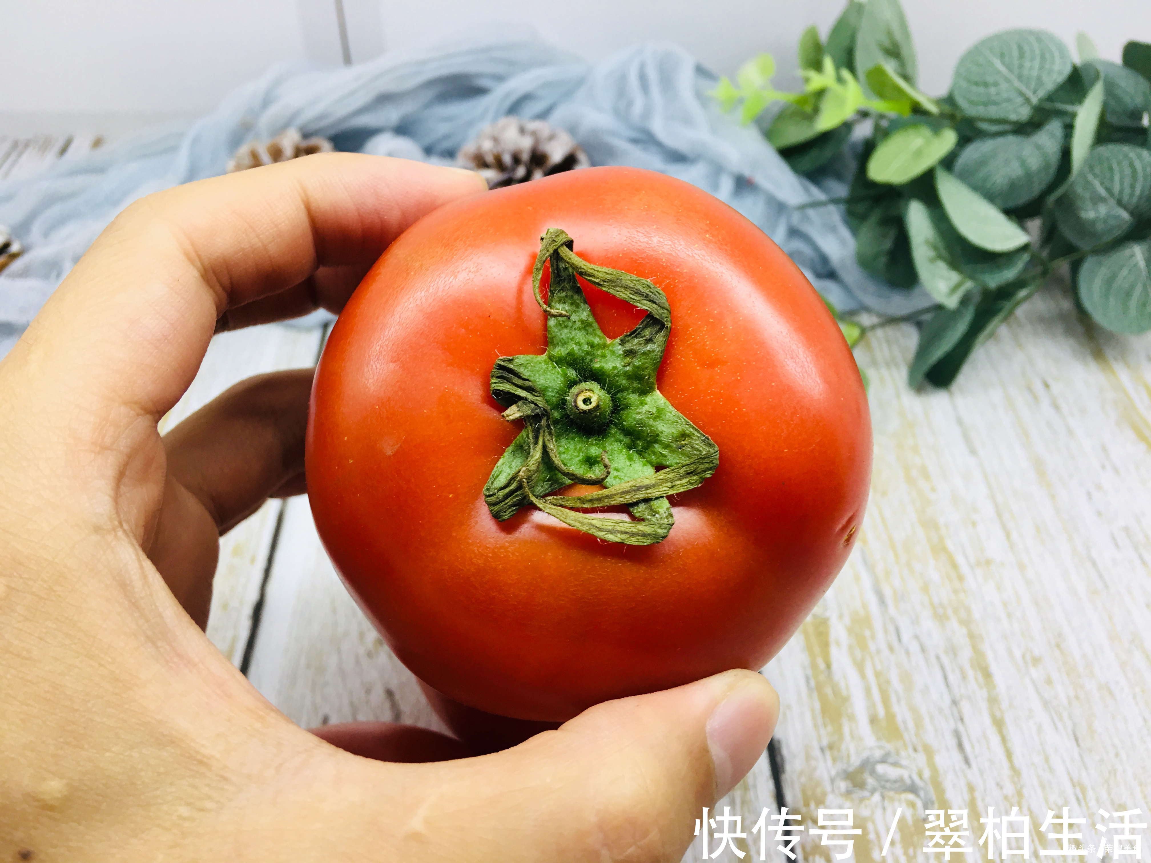 伤痕|买番茄时，4种情况的番茄就不要买了，不新鲜还不好吃