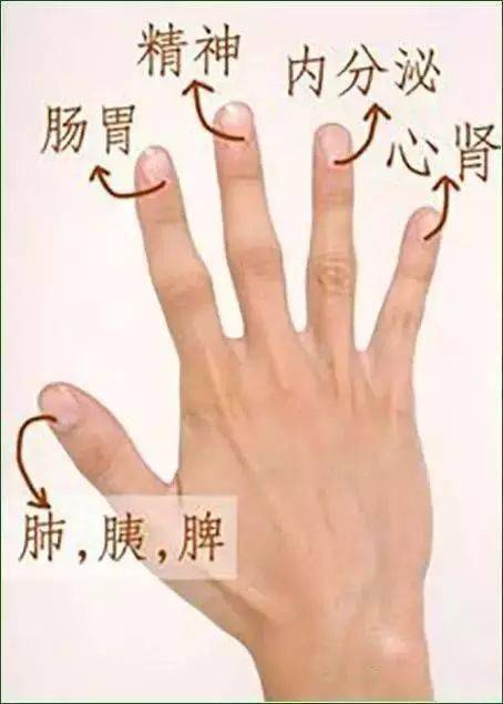 肝气|五指通全身,秘密都在这