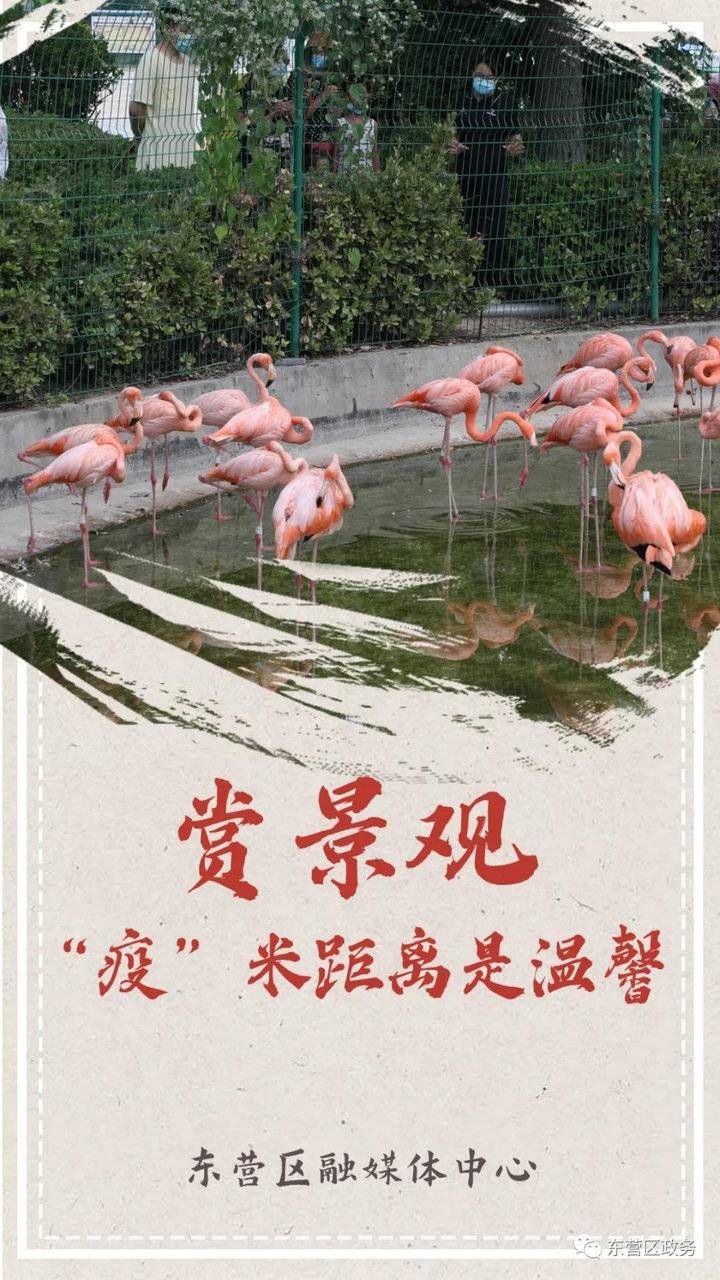 米线|这一次，在一起，不只是携手并肩