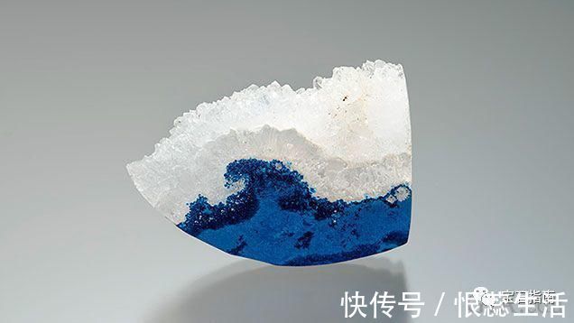 摄影|鉴赏源自海洋的珍宝——“热带天堂”主题珠宝作品