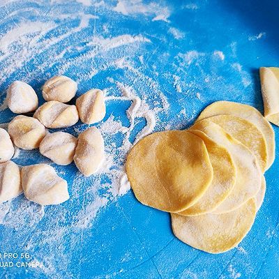 营养均衡|猪肉豆角饺子