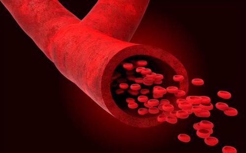 健康|长期喝茶的人与喝白开水的人相比，谁的血管更健康？现在知道还不晚