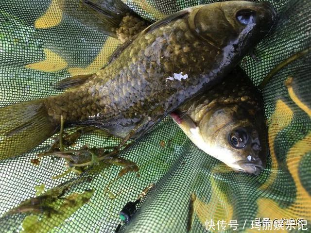 可信度|钓鱼中的“黑话”知多少?能听懂10个以上的是老钓手