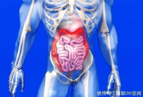 肠道健康才能长寿，4个方法让肠道“动”起来，才能更健康