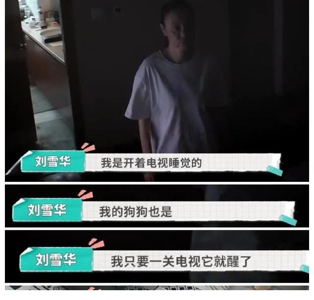 阿雷|62歲劉雪華綜藝首秀，《屋檐之夏》到底有什么吸引力