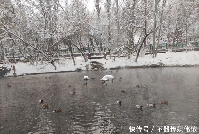 玉树琼花|玉树琼花，如梦如幻，乌鲁木齐这个公园冬天如人间仙境