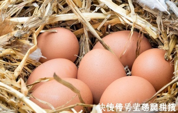 好处|每天早晨吃一个煮鸡蛋,身体不会差,3大好处不请自来