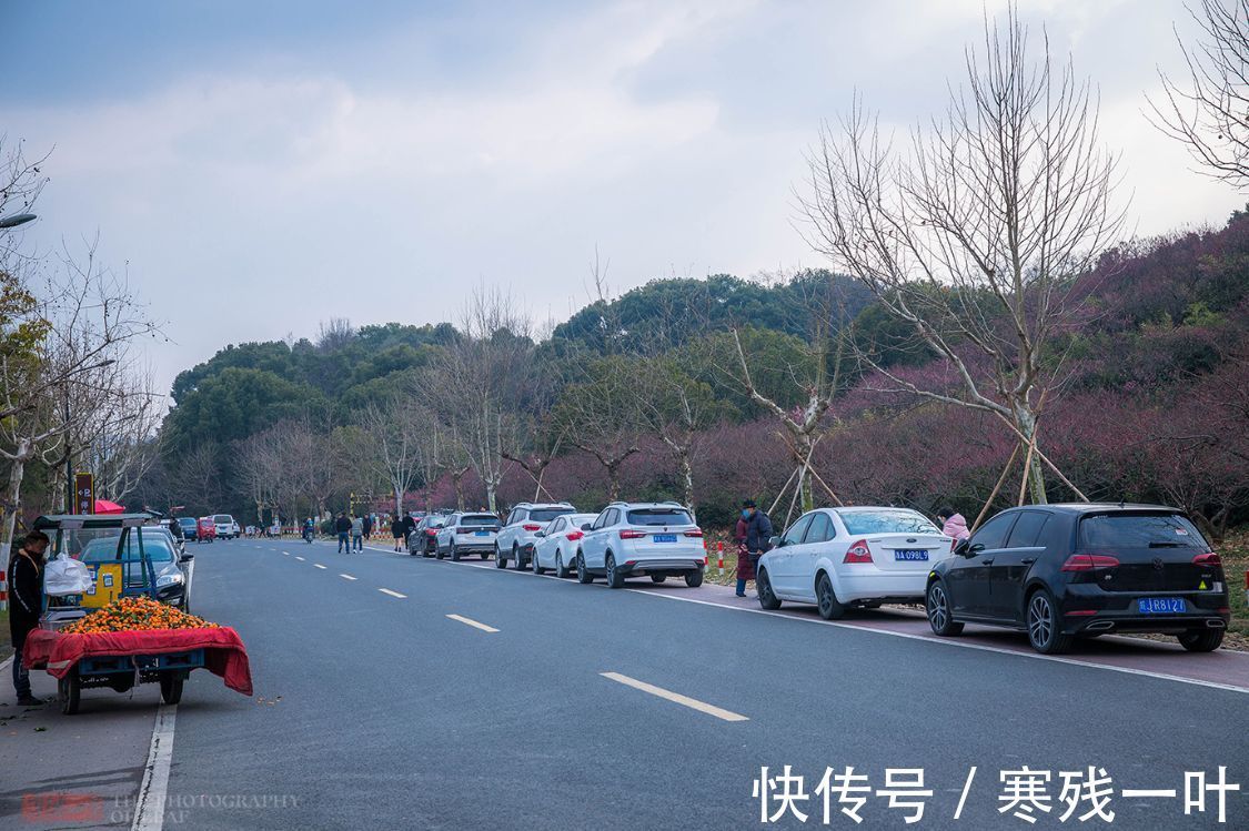 登山|杭州有个赏梅登山好去处，不用门票免费停车，就在市郊知道人不多