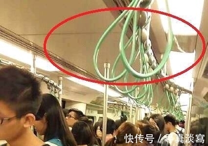 |搞笑图片幽默段子笑话:狗狗你头上还长花了啊,看上去很美哦