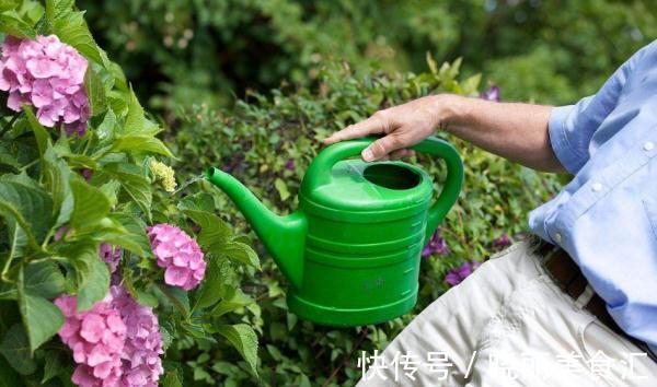 有机肥|每次浇花后及时打开窗户通风，以消除盆地土壤中多余的水分