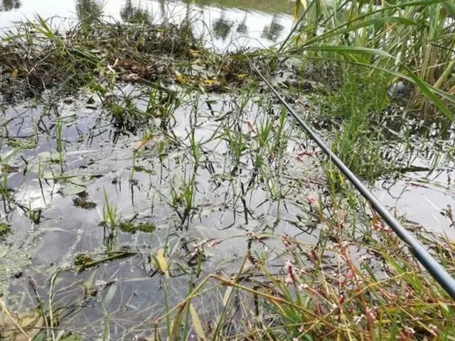 冬季鱼难钓,关键步骤是如何打好窝,往往有意想不到的收获