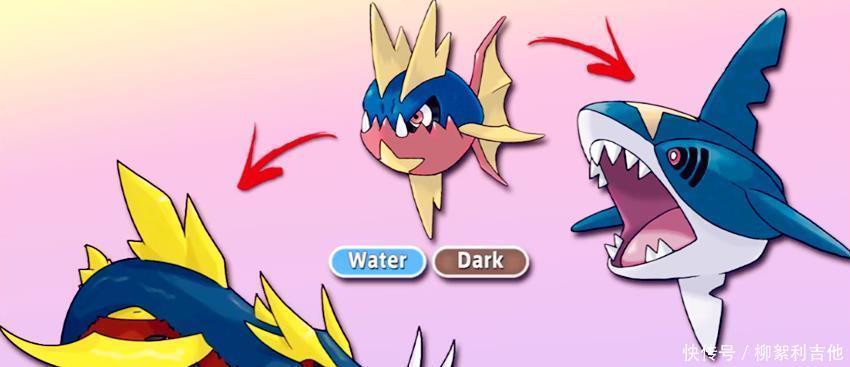 漂浮泡泡|宝可梦新分支进化,可多拉变远古巨龙,索罗亚分雌雄进化形态!