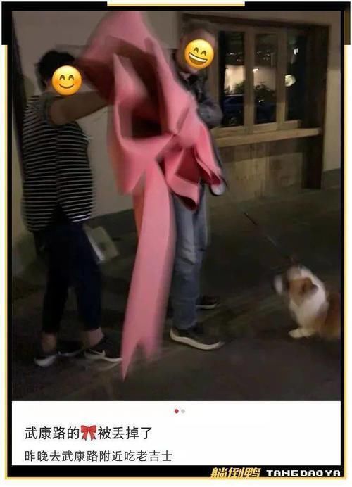 垃圾桶|刷屏的“阳台奶奶”搬走了,网红蝴蝶结也被扔进了垃圾桶……