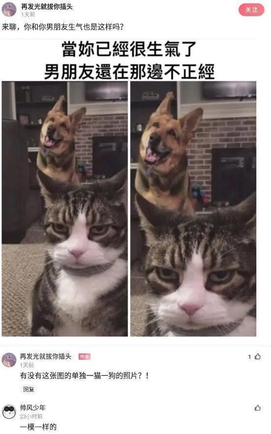 |神评段子合集:月老给你绑的钢丝,都被你用老虎钳剪断哈哈哈