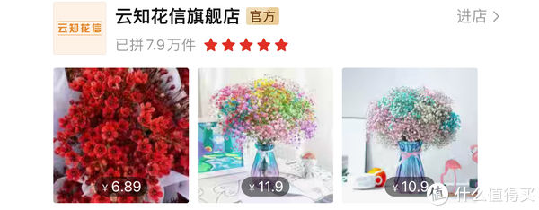 过年必备盆栽 | 20款好看易养的懒人绿植，拼多多店铺低至3元起！附养护心得