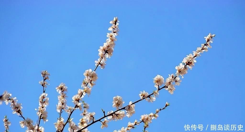 宋诗#这首宋诗脍炙人口,其中一句被误解太深,诗人访友不成写下绝唱!