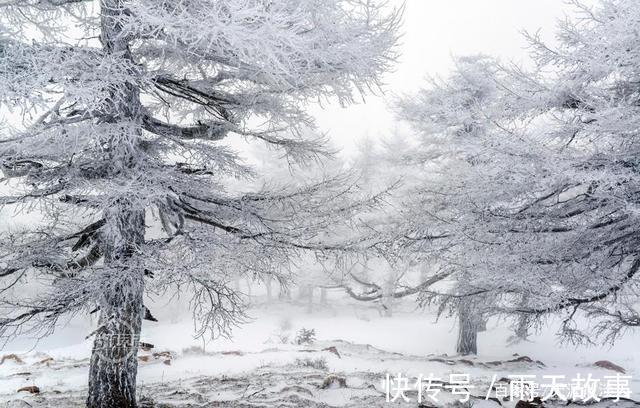 独倚栏#诗词七绝《大雪》