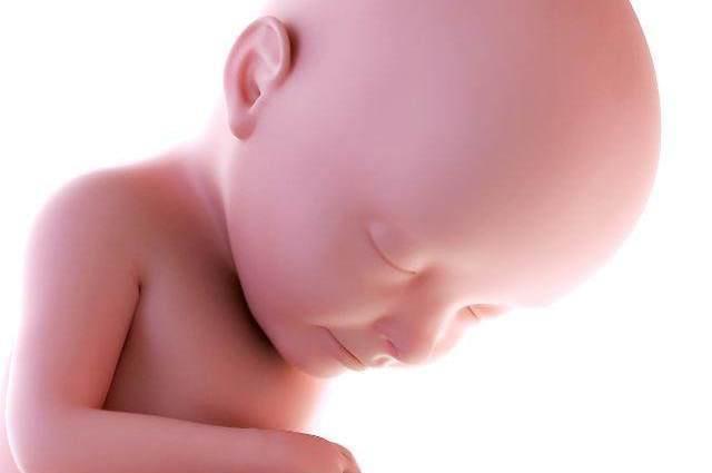 胎动|怀孕后，胎儿喜欢在这2个“时刻”睡觉，孕妈最好别“打扰”