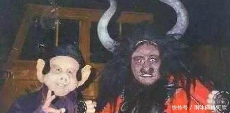 兄弟|昔日的天蓬元帅,不幸落入猪圈,但为何要咬死猪母和兄弟