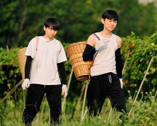 泪目《向往的生活》完美收官,彭彭一句话暗示节目第5季命运