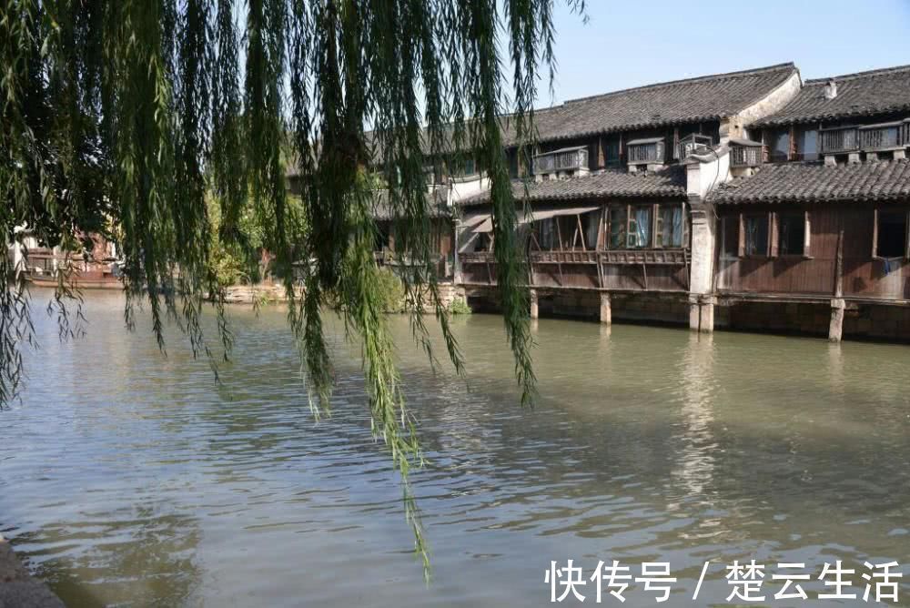 鱼玄机&唐代13岁少女写下一首咏柳诗,通篇无一柳字,却处处有柳韵