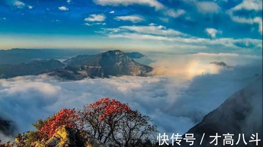 梦微之!白居易这首诗,是人最无能为力之事,读一次断肠一次