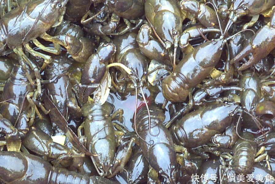 骨头|海边特有“美味”,只有骨头没有肉,价钱比牛肉贵,成吃货盘中餐