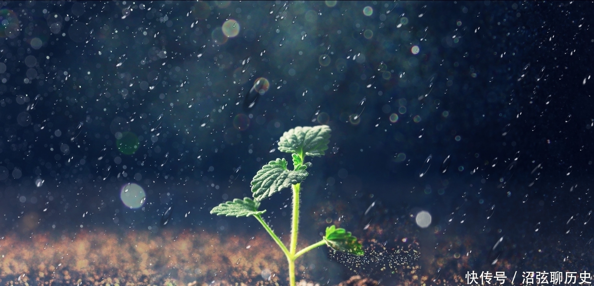 成语|杜甫的一首七言诗,第三句却有8个字,留下一成语人尽皆知