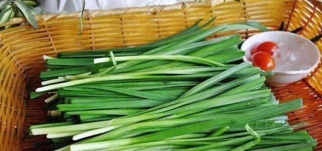根部|吃不完的韭菜,放冰箱就错了,菜农教我土方法,放10天照样新鲜