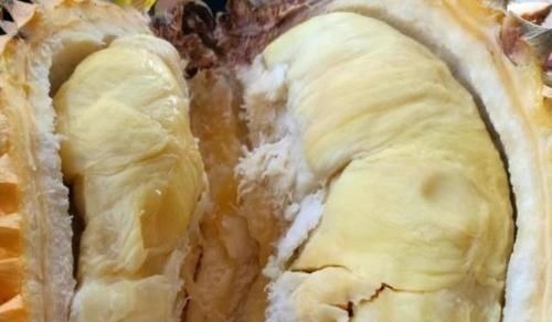 龙眼|产妇坐月子期间,4种食物要舍得吃,或能促进身体恢复