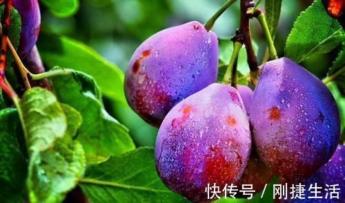 羡慕|女性羡慕别人皮肤好,不妨多吃3食物,润滑肌肤,皮肤更白嫩!