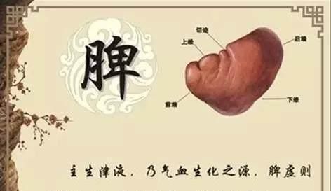 “湿邪”怎样祛除，文博居士给您讲一讲！