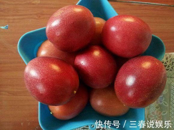 这种水果太好养,1粒种子就能爬满阳台,年年都有水果吃!