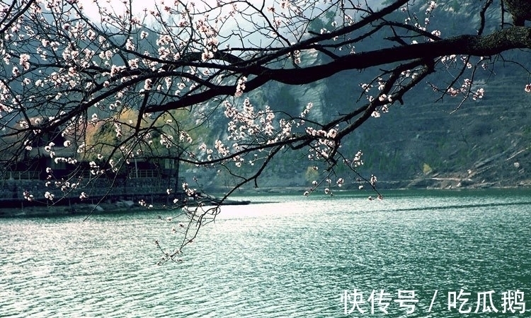 王献之!千古留名颜真卿。张养浩的这首古诗,每一句都有你想知道的故事