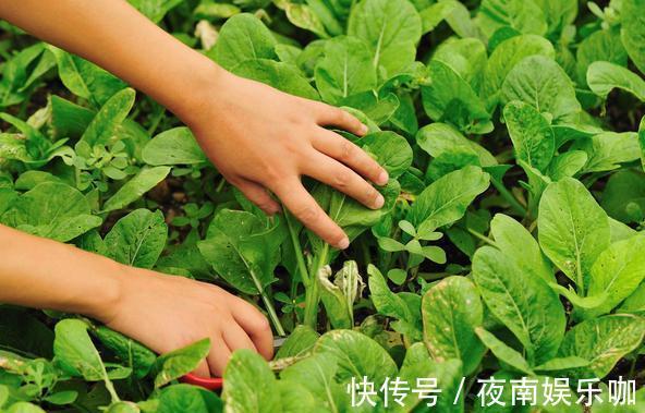 dh12岁少年,取出一公斤寄生虫,提醒:四种街边小吃,别让孩子吃