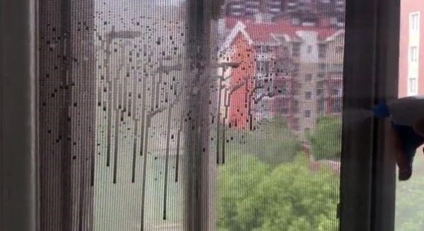 纱窗脏了根本不用拆下来洗，只需用一根香烟，纱窗立马干净如新